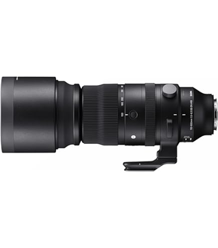 Amazon.com : Sigma 50-500mm F/4.5-6.3 APO DG OS HSM Lens for