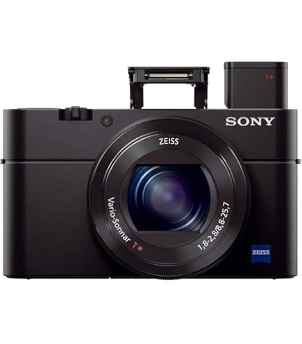 Amazon.com : Sony RX100 II 20.2 MP Premium Compact Digital Camera