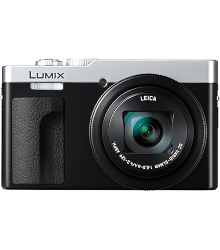 Amazon.com : Panasonic LUMIX ZS99 Point and Shoot Camera, Compact