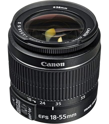 Amazon.com : Canon EF-S 18-135mm f/3.5-5.6 is STM : Camera Lenses