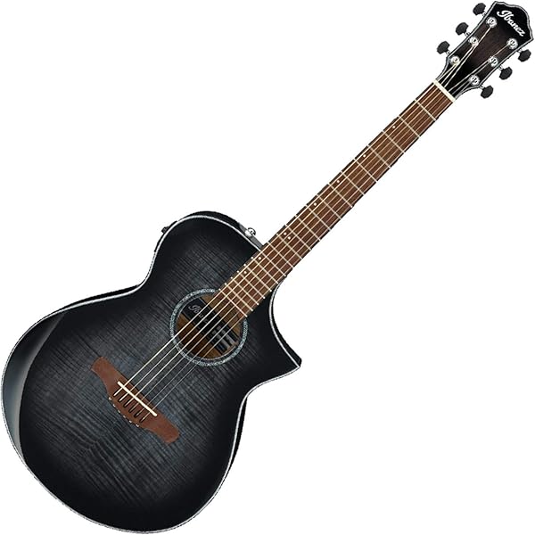 Ibanez AEL20E / AEL40SEジャンク ケース付 Ibanez AEL20E / AEL40SE