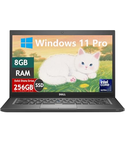 Amazon.com: Dell Latitude 3590 1366 X 768 15.6