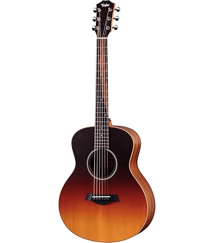Amazon.com: Taylor GS Mini-e Special Edition Acoustic-electric