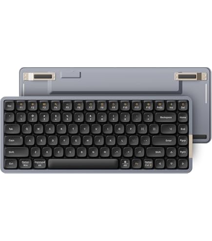 Amazon.com: LOFREE Flow Low Profile Mechanical Keyboard, 100 Keys