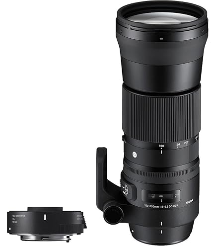Amazon.com : Sigma 150-600mm F5-6.3 Sports DG OS HSM & TC-1401 for