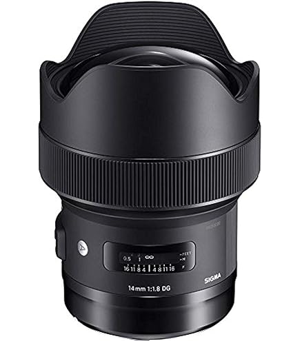 Amazon.com : Sigma 14-24mm F2.8 DG HSM, Black (212954) for Canon