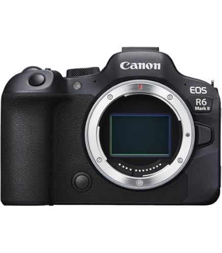 Amazon.com : Canon EOS R6 Mark II Mirrorless Camera (5666C002) + 2