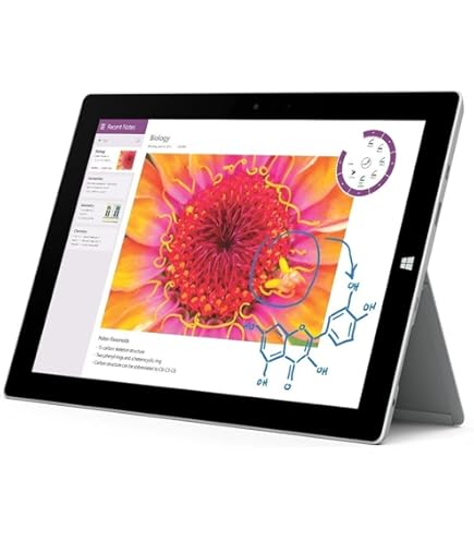 Amazon.com : Microsoft 12.3