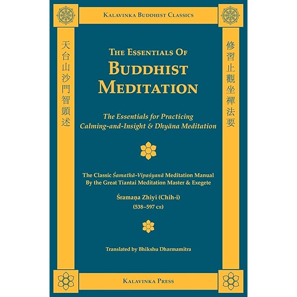 Amazon.com: Nagarjuna's Treatise on the Ten Bodhisattva Grounds