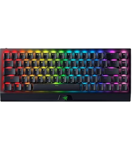 Amazon.com: Razer BlackWidow V4 Mini HyperSpeed Wireless Hot
