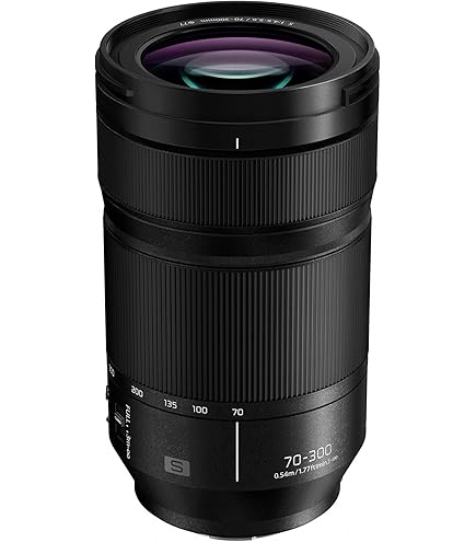 Amazon.com : Panasonic LUMIX S 28-200mm F4-7.1 Macro O.I.S.