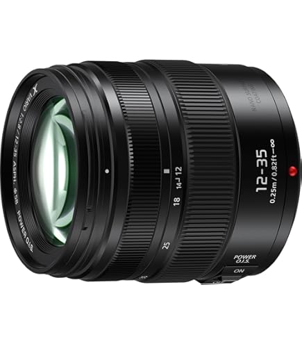 Amazon.com: Panasonic H-ES12035 Leica DG Vario-ELMARIT 12-35mm/F2