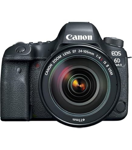 Amazon.com : Canon EOS 6D 20.2 MP CMOS Digital SLR Camera with 3.0