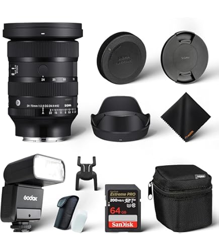 Amazon.com : Sigma 24-70mm F2.8 DG DN Art for Sony E Lens ,Black