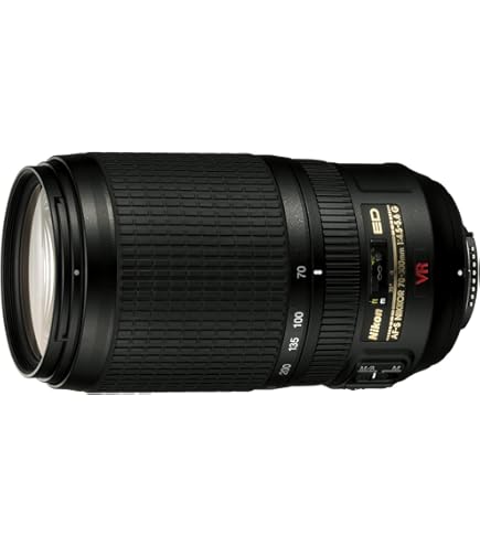 Amazon.com : Nikon AF-S DX NIKKOR 55-300mm f/4.5-5.6G ED Vibration