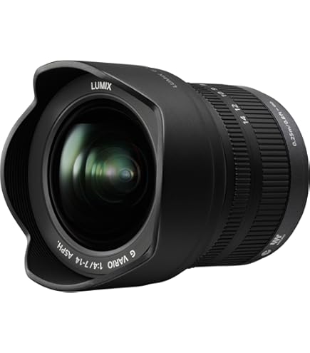 Amazon.com : Panasonic H-F007014E LUMIX G Vario 7-14mm F4.0 ASPH