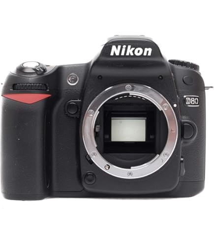 Amazon.com : Nikon D80 10.2MP Digital SLR Camera Kit with 18-135mm