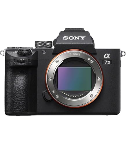 Amazon.com : Sony Alpha 7C Full-Frame Mirrorless Camera - Black