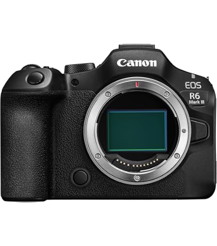 Amazon.com : Canon EOS R6 Mirrorless Digital Camera (Body Only