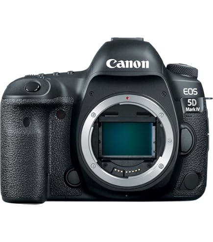 Amazon.com : Canon EOS 7D Mark II DSLR Camera with 18-135mm f/3.5