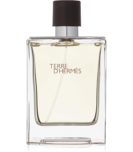 Amazon.com : Hermes Terre D'Hermes Eau De Toilette Spray 100ml/3.4