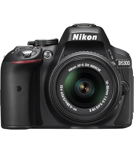 Amazon.com : Nikon D5300 24.2 MP CMOS Digital SLR Camera with 18