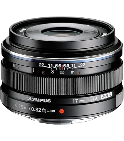Amazon.com : OM SYSTEM Olympus M. Zuiko 17mm f/2.8 Lens (Black