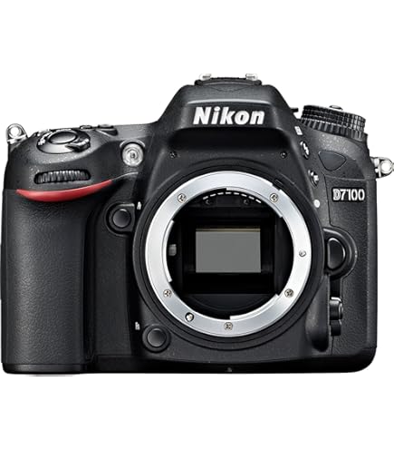 Amazon.com : Nikon D7100 24.1 MP DX-Format CMOS Digital SLR (Body