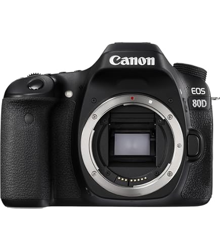 Amazon.com : Canon EOS 80D DSLR Camera (1263C004) W/Bag, Extra