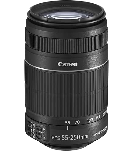 Amazon.com : Canon EF-S 55-250mm F4-5.6 is STM, Telephoto, Black