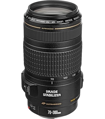 Amazon.com : Canon EF 100-300mm f/4.5-5.6 USM Telephoto Zoom Lens