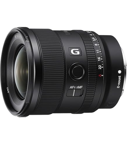Amazon.com : Sony E-mount FE 24mm F1.4 GM Full Frame Wide-angle