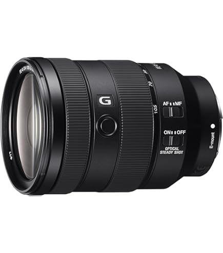 Amazon.com : Sony FE PZ 16-35mm f/4 G Lens for Sony E : Electronics