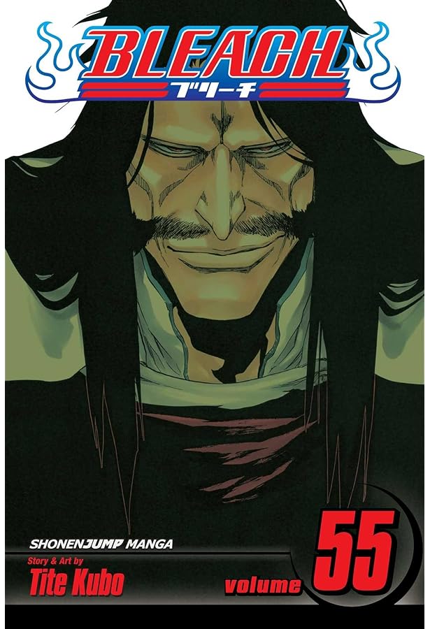 Amazon.com: Bleach, Vol. 58: The Fire: 9781421561356: Kubo, Tite