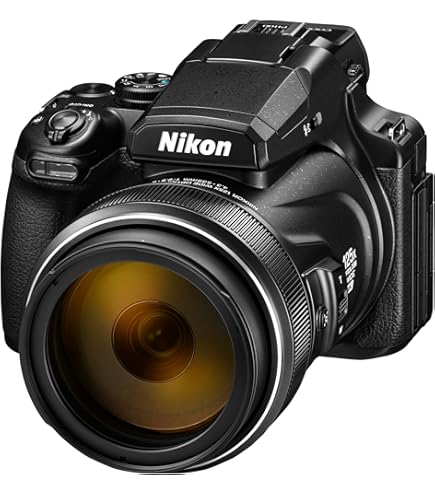 Amazon.com : Nikon Coolpix P100 10 MP Digital Camera with 26x