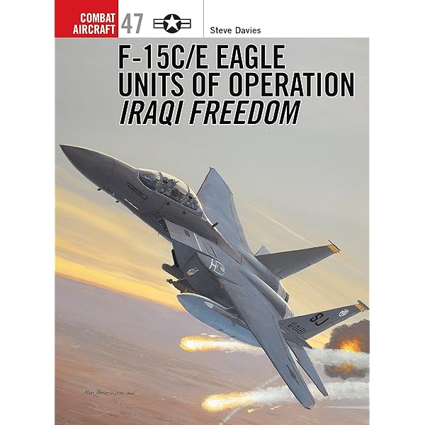 F-15E Strike Eagle Units in Combat 1990-2005: Davies, Steve, Davey