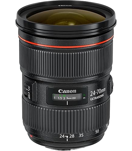 Amazon.com : Canon EF 24mm f/1.4L II USM Wide Angle Lens - Fixed