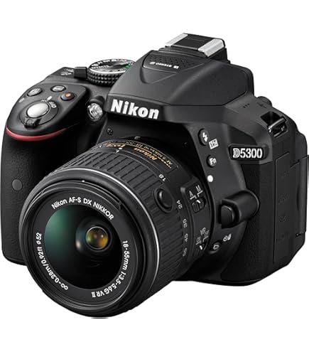 Amazon.com : Nikon D5600 DSLR with 18-55mm f/3.5-5.6G VR and 70
