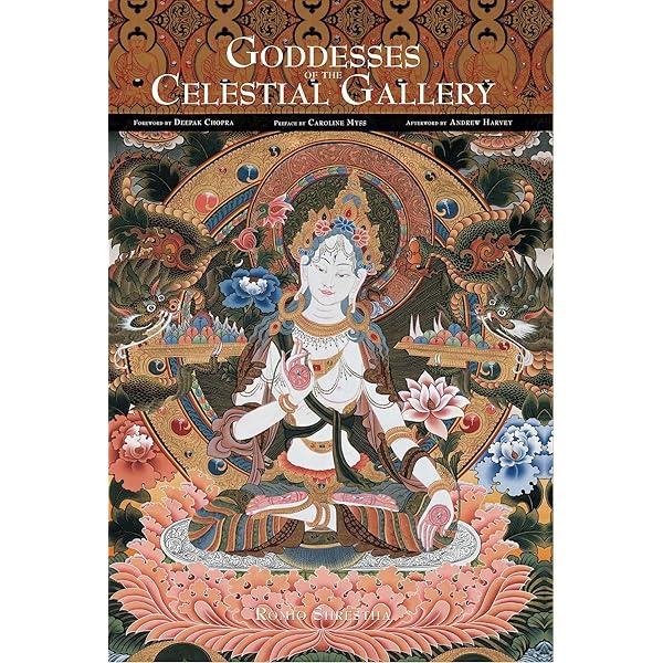 Amazon.com: The Celestial Galleries: The Complete Collection
