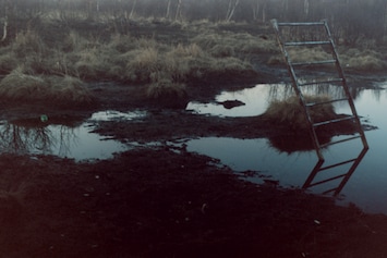 Martina Hoogland Ivanow, Far Too Close | AnOther