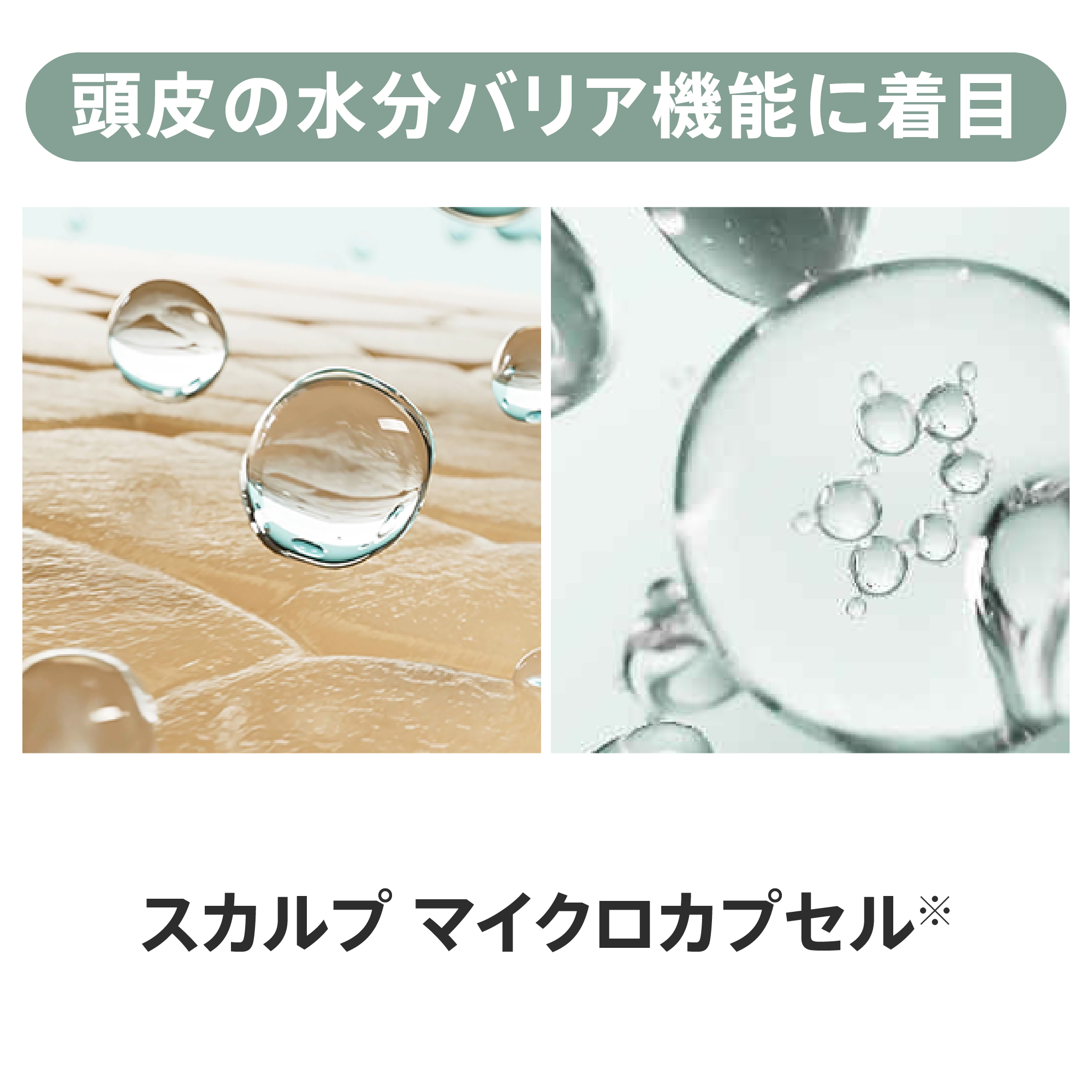 エクストラ ヘアコンディショナー （地肌ケア） 280mL) ：Amway(日本