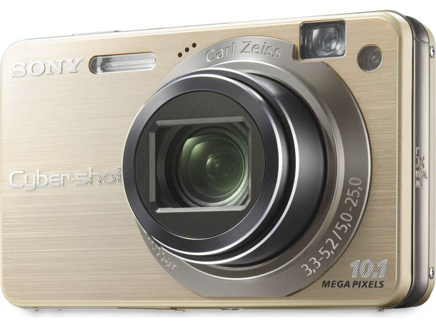 Sony Cyber-shot DSC-W170 (Gold) 10.1-megapixel digital camera with