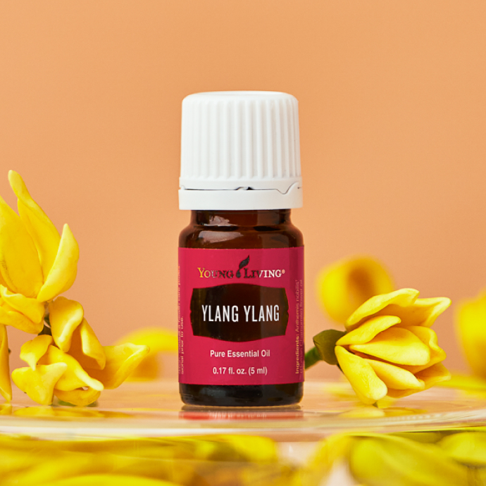 Young Living ヤング アロマライフ エッセンシャルオイル 15mL 【公式
