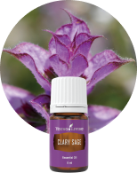 ヤング・リヴィング-ヤングトランスフォーメーション | Young Living