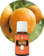 ワイエルジョイ15ml | ヤング・リビング精油 | Young Living Essential