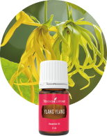 フォーギブネス 5ml | ヤング・リヴィング精油 | Young Living