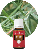 ワイエルメルローズ 15ml | ヤング・リヴィング精油 | Young Living