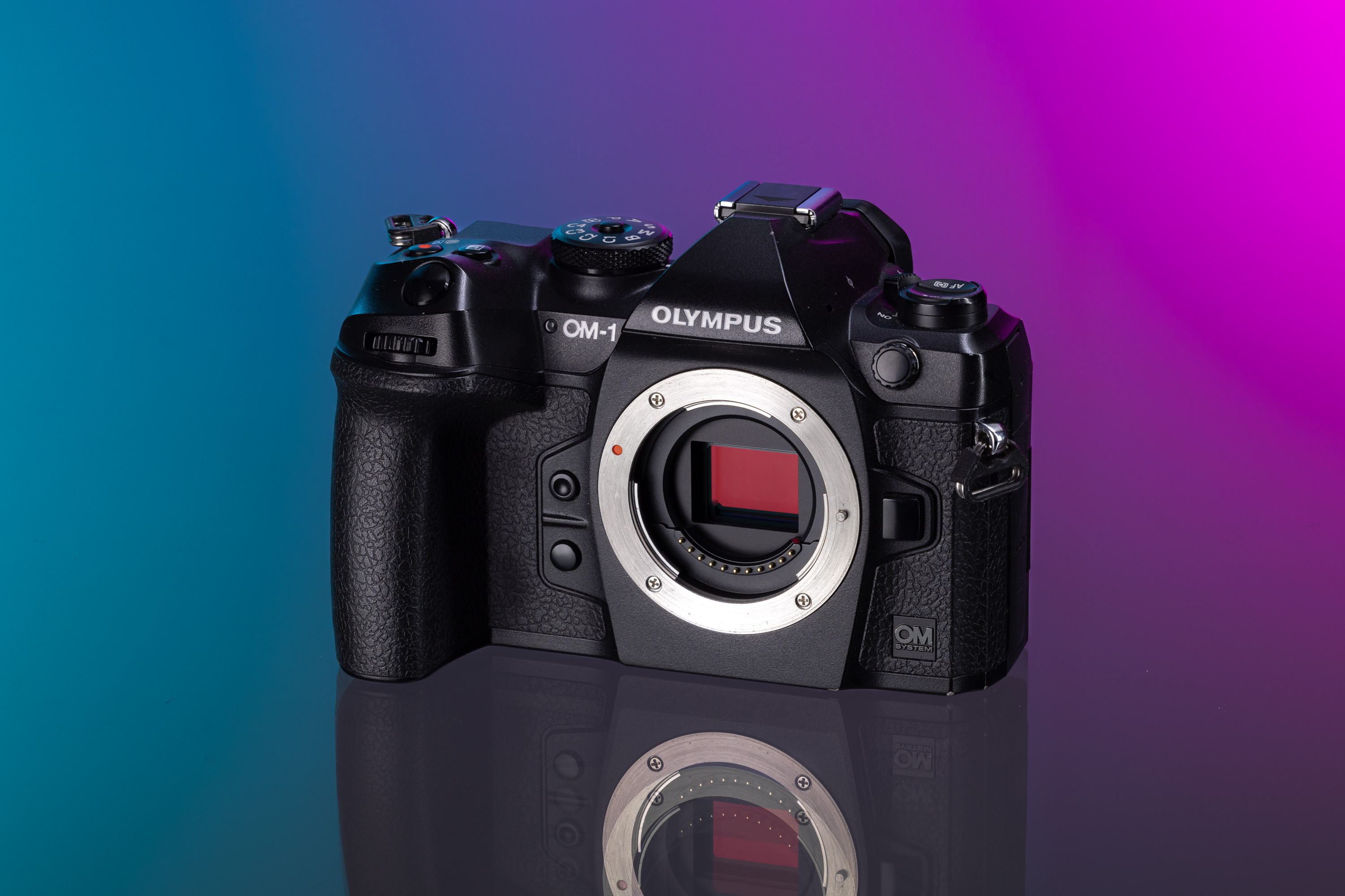 Buy OM-1 From OM SYSTEM OLYMPUS/オリンパス カメラ OM-1 (1139934