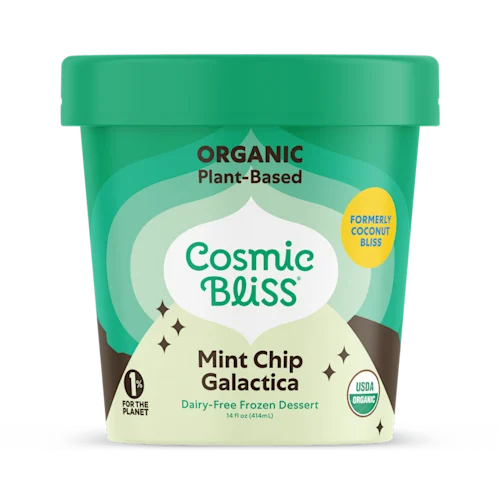 Mint Chip Galactica Ice Cream Pint | Organic Plant-Based Vegan Ice