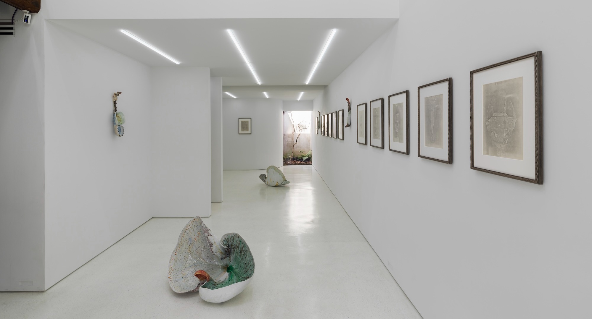 合田佐和子と川端健太郎二人展「Chimeras」（Nonaka-Hill Kyoto